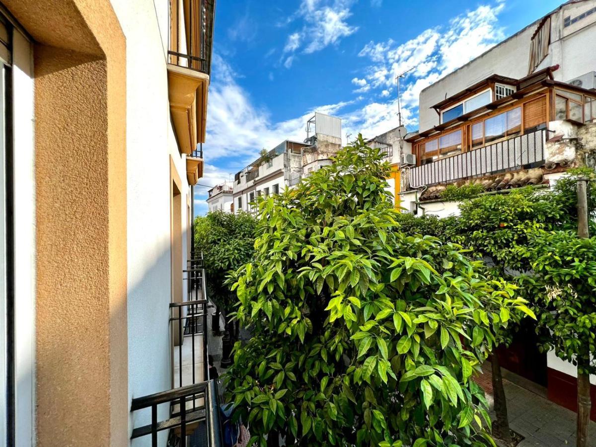 San Fernando De La Ribera Apartment กอร์โดบา ภายนอก รูปภาพ